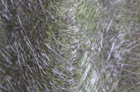 Moulton Chapel fibreglass roof work